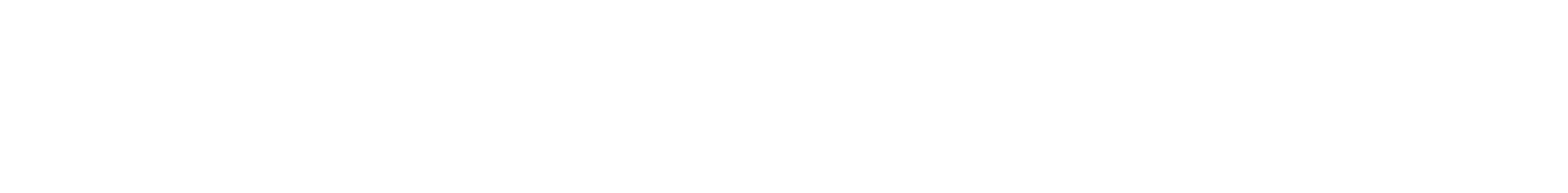 Bridgestone